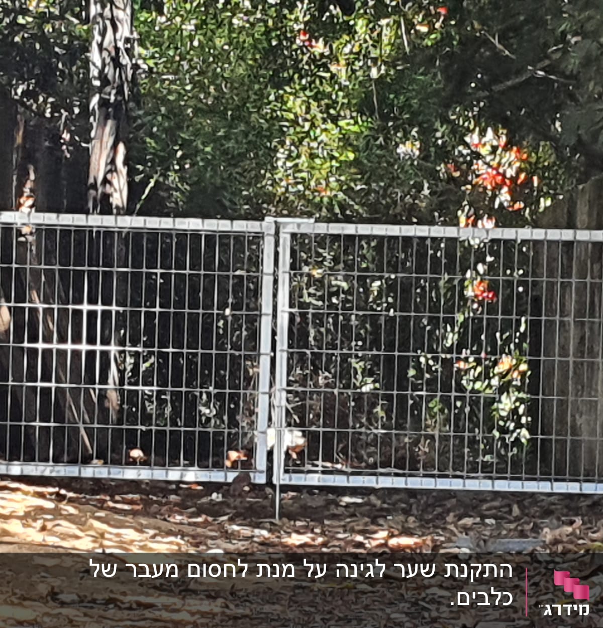 שער מתכת עם מסגרת רשת בין קירות בטון